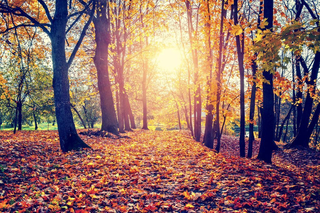 “There are charms to secure happiness. If you believe that you are going to be lucky, you go about your business with a smile, you take disaster with a smile, you start afresh with a smile. And to do that is to be in the way of happiness.” ~A.A.Milne #tuesdaymotivations  #lucky