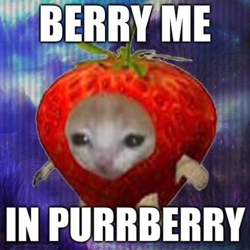 purrberryeth's tweet photo. @The_Bogfather I have a berry on my head https://t.co/9lBwaPDZ2c