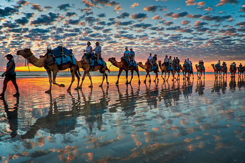 JasonAMyers's tweet photo. Cable Beach, Australia #CableBeach #Australia https://t.co/uj9IKa9QJS https://t.co/hW8lM9ySq4