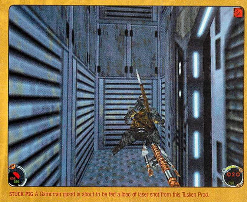 DF21net tweet picture