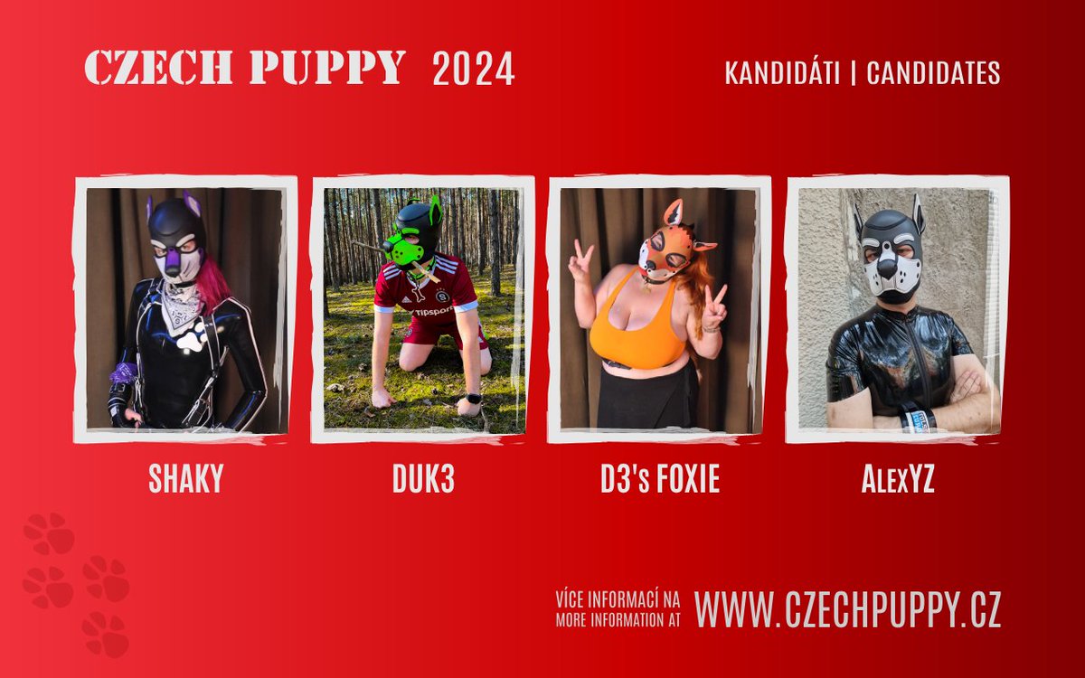 czechpuppyteam's tweet photo. One of them is destined! One of these four brave critters will be representing our small but visible community of puppies and petplayers locally and abroad. Which one of them will it be? Come support them 18th of November. 🐶 https://t.co/Fu2ubqHNPL