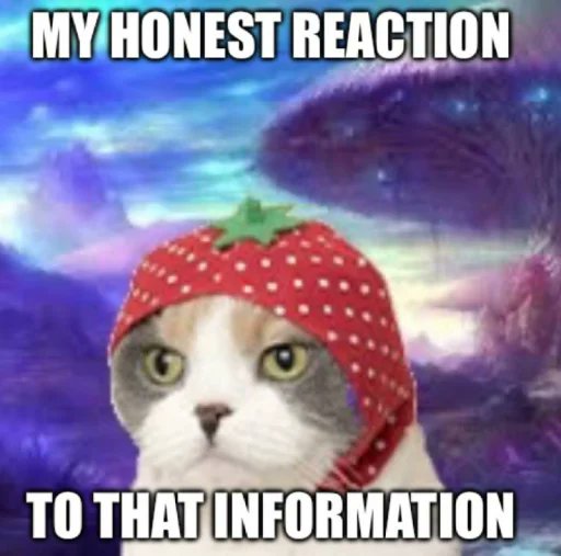 purrberryeth's tweet photo. @chirocrypto https://t.co/qMj7M4PWkN