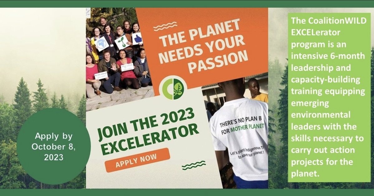 opportunitiesfy's tweet image. 🌍 Ready to lead change? Join EXCELerator - a 6-month program to turn your environmental project into reality!

📅 Apply: Sep 4 - Oct 8, 2023 

🚀 Program starts: Nov 2023

Apply now: shorturl.at/vzTWY

#EXCELerator #YouthLeaders #EnvironmentalChange 🌿🌎
