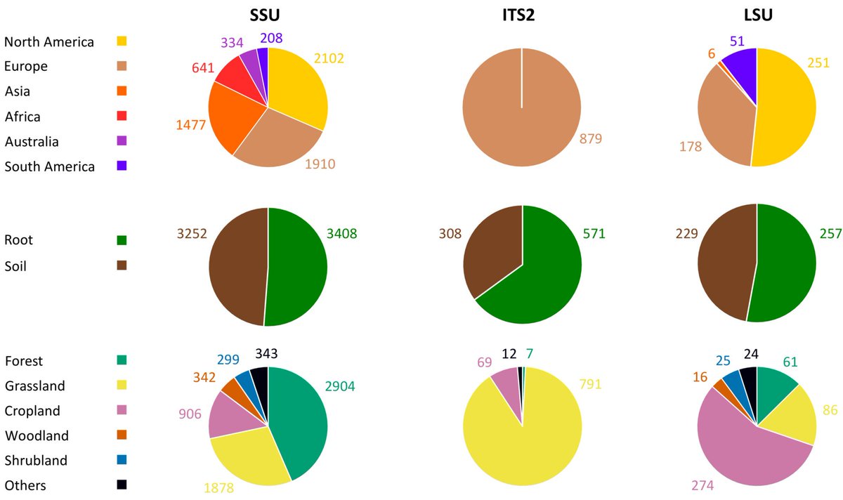 Petr Kohout (@kohout_mycor) on Twitter photo GlobalAMFungal database is out in <a href="/NewPhyt/">New Phytologist</a>: doi.org/10.1111/nph.19…
Check more here: globalamfungi.com
Here is a brief distribution of the samples within the GlobalAMFungi database. GlobalAMFungal database is out in <a href="/NewPhyt/">New Phytologist</a>: doi.org/10.1111/nph.19…
Check more here: globalamfungi.com
Here is a brief distribution of the samples within the GlobalAMFungi database.