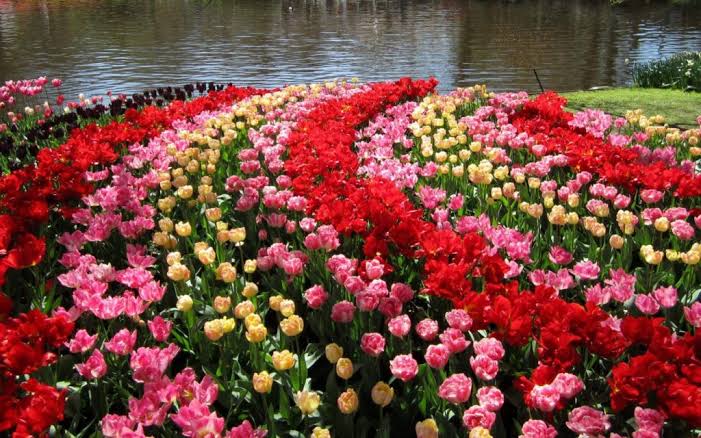 U_HRao1's tweet photo. ایک مرد کی اچھی تربیت پتہ ہے کیا ہوتی 
عورت کے قصور وار ہونے کے باوجود وہ اُسکی تذلیل نہیں کرتا 

اُسے پتہ ہے اللّٰه عزوجل نے عورت کو ناقص عقل سے نوازا ہوا ہے
پھر بھی اسکی عزت اور احترام کا خیال کرتا ہے 

مرد کا ایک درجہ اس لیئے بلند رکھا گیا ہے کہ وہ محافظ ہوتا ہے 

اور محافظ کبھی عزتوں کا سودا نہیں کیا کرتے
___
#MahiraKhan
#BlueWorldCity
