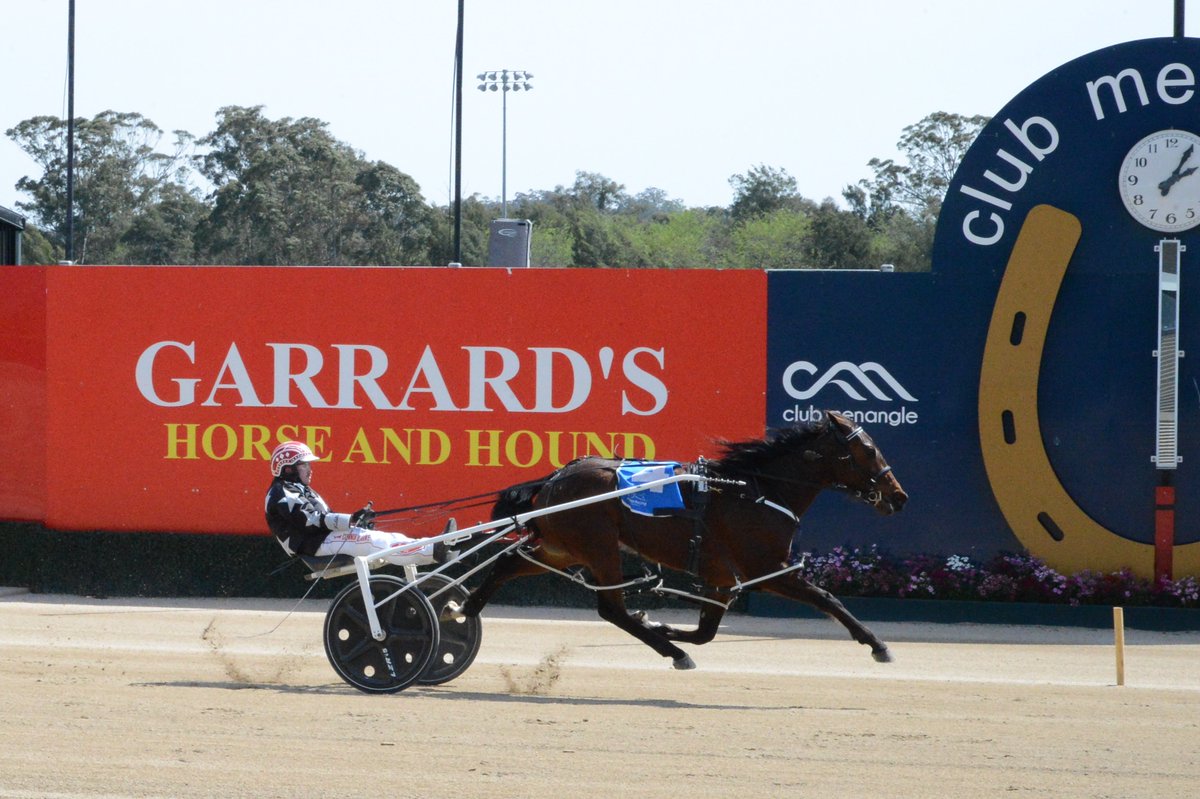 ClubMenangle's tweet photo. Elusive wins the NSW Breeders Challenge 2YO Fillies Heat - Round 2. Trained by Geoff Webster and driven by Connor Clarke, they marked a mile rate of 1:52:5. 🏆 #ClubMenangle https://t.co/9RInIORxMf