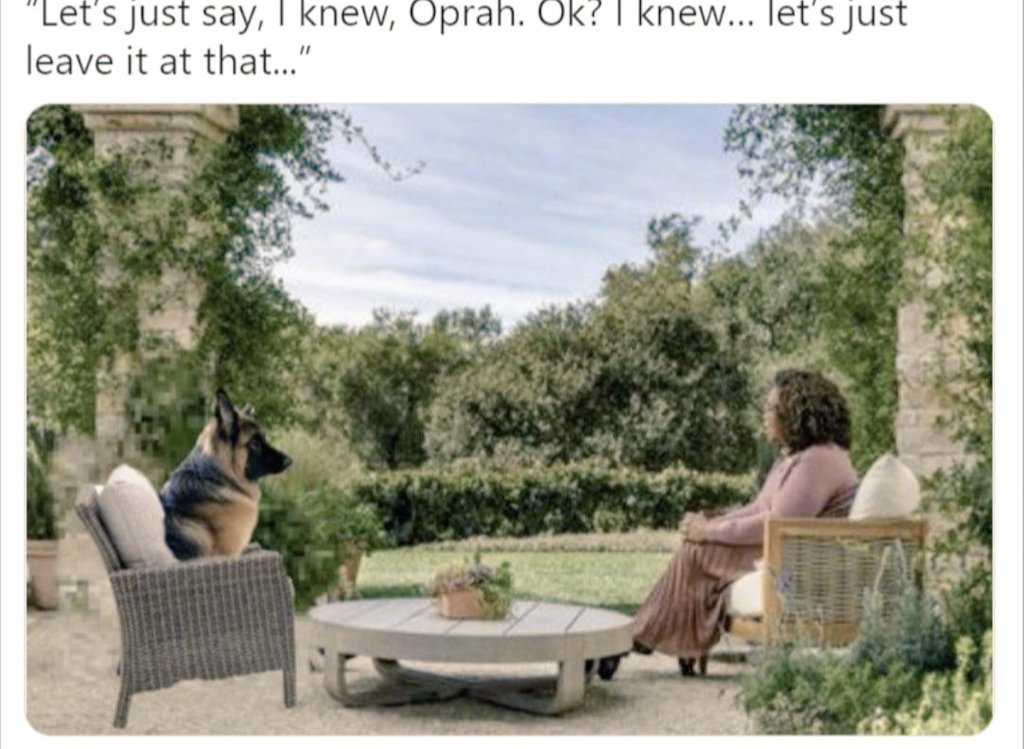 murphyb849's tweet image. #IStandWithCommander
Dogs know. 

(Funny the only people he does not trust are Secret Service) I wonder why 🤔