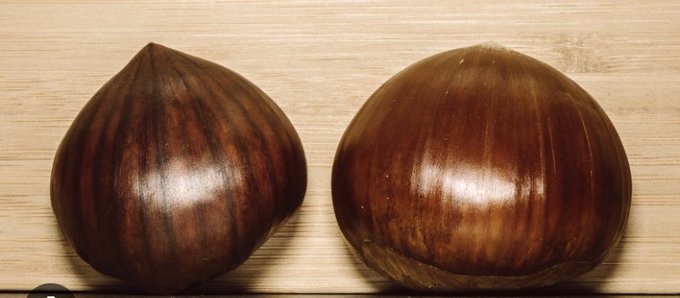 Buongiorno amici belli😉e bravi 😁 vi presento oggi la mia pazienza😂 anzi ne ho due belle grosse🤣 la vostra