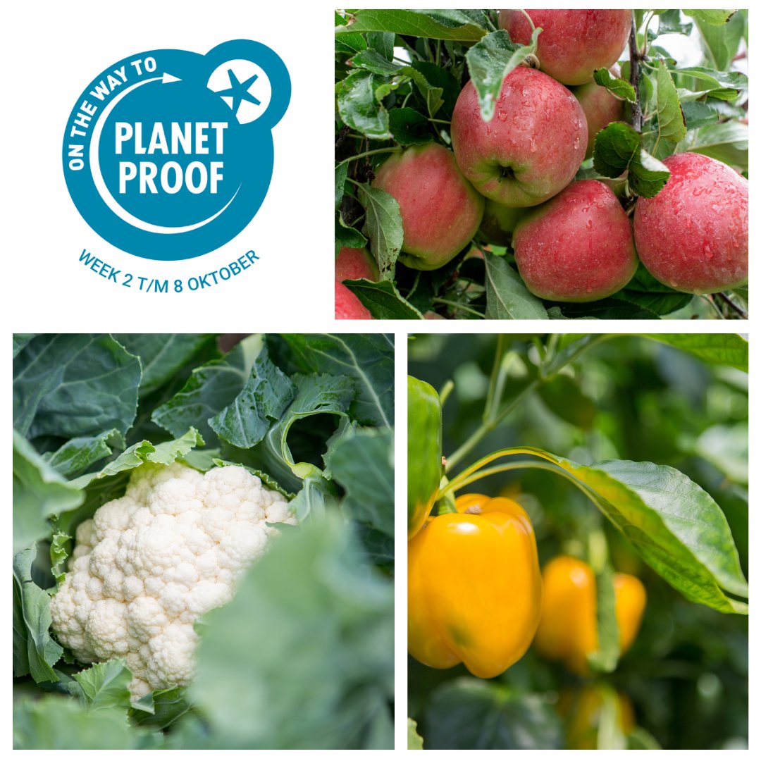 Oxin Growers tweet media
