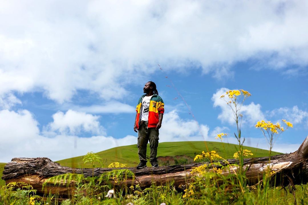 VisitTanzania1's tweet photo. Good Morning Kitulo National Park🇹🇿 https://t.co/iJQMDunVjq