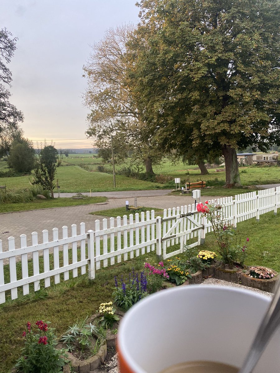 Guten Morgen von der Insel. Habt einen schönen Feiertag.