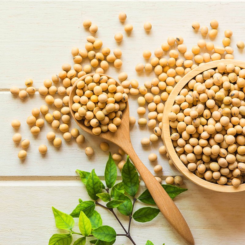 SorinDiana's tweet photo. Processed soy #contains phytoestrogens that can lead to issues such as thyroid dysfunction and hormonal imbalances. 
👉It may contain high amounts of aluminum, which can be toxic to the body and contribute to heart disease and Alzheimer's. It can contain compounds that may be harmful to women and increase the risk of breast cancer. 
👉It may also contain Hexane, which can be toxic and affect the central nervous system. Healthy alternatives include legumes, fresh fruits, and vegetables.
#anxiety #mentalhealth #choices
