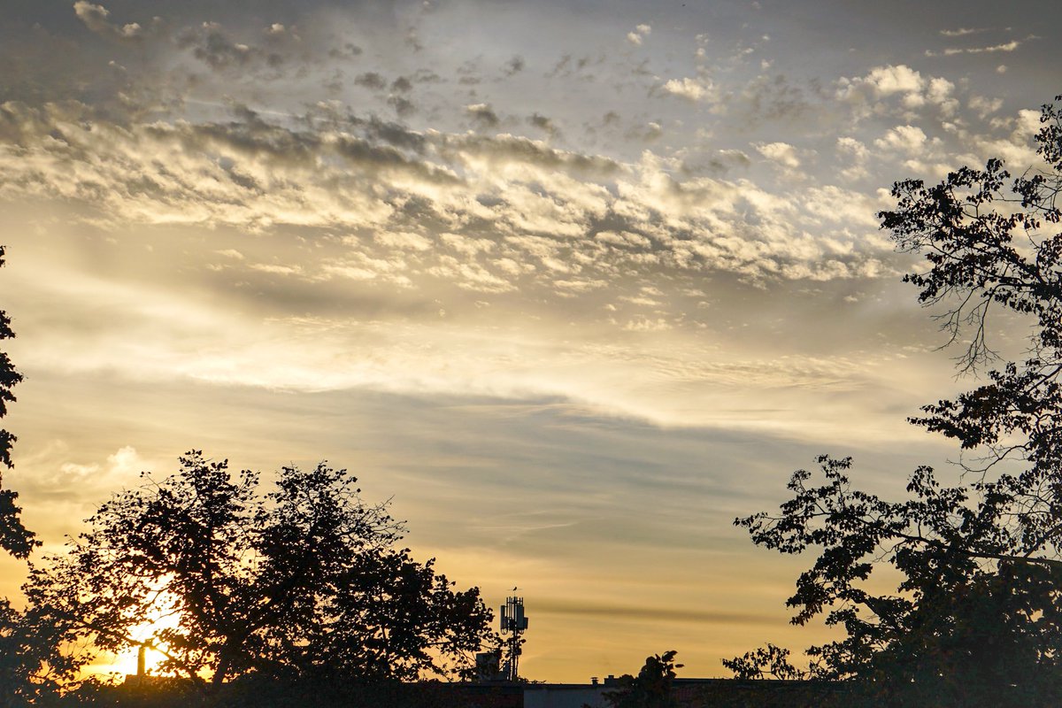 Schönen Feiertag 🕊