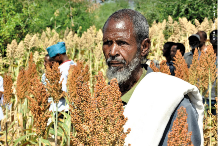 ACIAR in Africa tweet media