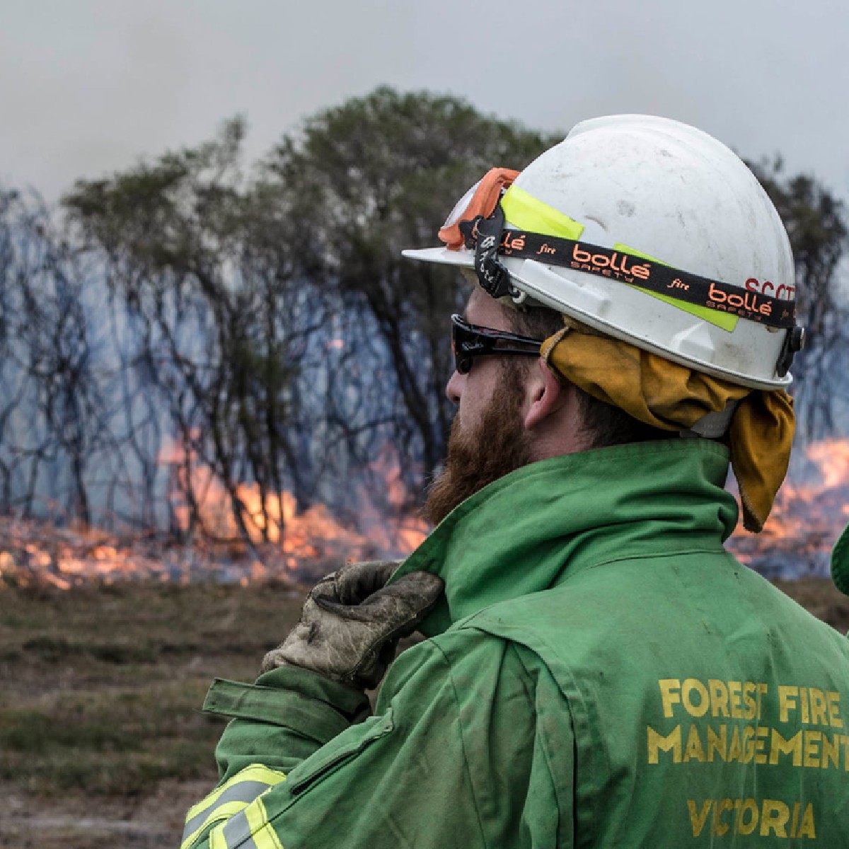 A number of parks and sites are currently closed due to extreme weather events including fire, storm and flood damage. Before you travel into nature, plan ahead and check for any park closures and safety updates, visit: brnw.ch/21wD9aN #PuttingSafetyFirst