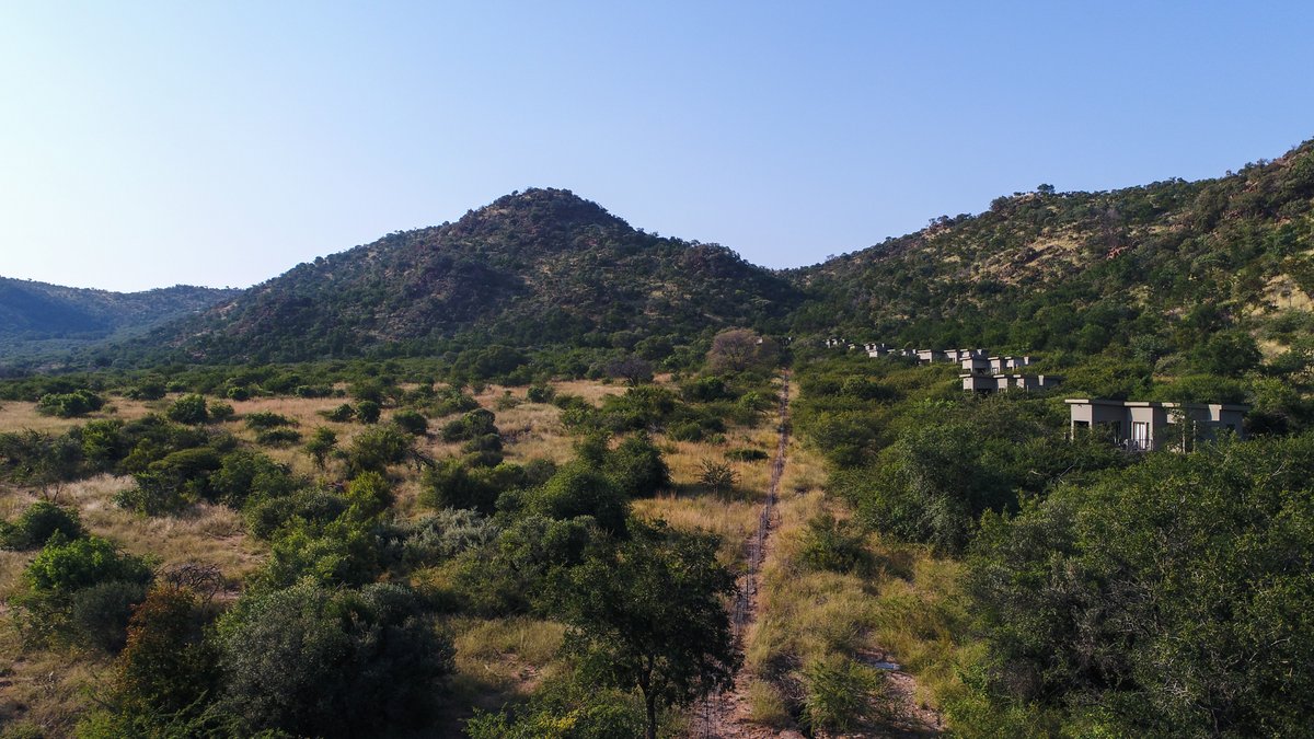 shepherdstreegl's tweet photo. Embrace the beauty of nature this #WorldHabitatDay! At Shepherd's Tree Game Lodge we're committed to preserving the stunning habitat that countless species call home. Join us in celebrating and conserving our precious wildlife haven. https://t.co/nqDZ6VUFnQ