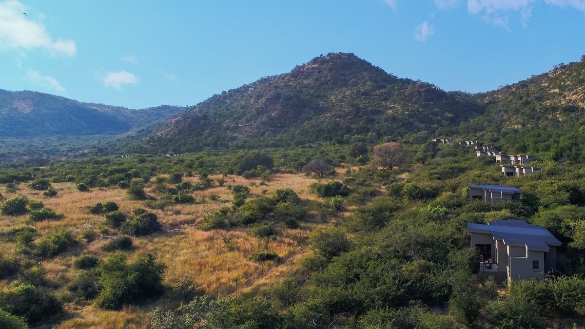 shepherdstreegl's tweet photo. Embrace the beauty of nature this #WorldHabitatDay! At Shepherd's Tree Game Lodge we're committed to preserving the stunning habitat that countless species call home. Join us in celebrating and conserving our precious wildlife haven. https://t.co/nqDZ6VUFnQ