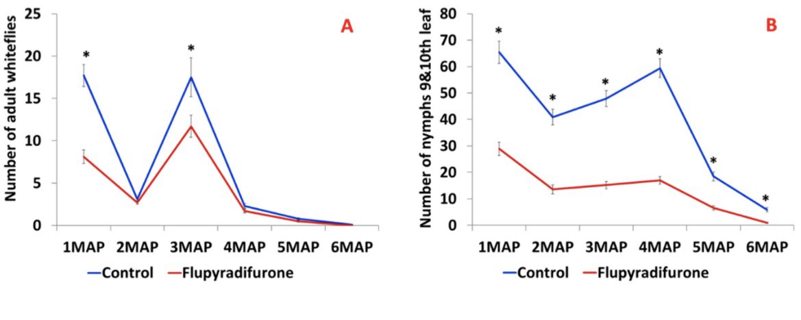 EWosula's tweet photo. Flupyradifurone application through cutting dipping reduced whitefly numbers and CMD incidence in cassava for up to six months. https://t.co/yaIcpbqjZg https://t.co/Qtgp6J7oiQ