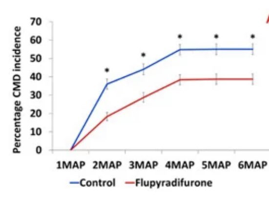 Flupyradifurone application through cutting dipping reduced whitefly numbers and CMD incidence in cassava for up to six months. doi.org/10.3390/insect…