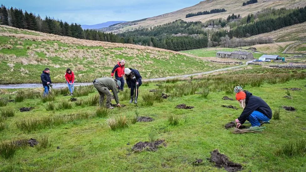 The Northern Forest Project has now planted over 6 million trees in 5 years, giving 300,000 households close access to nature. 

The project aims to plant 50 million trees by 2043  across Northern England in areas with the lowest woodland cover.
bbc.co.uk/news/uk-englan…