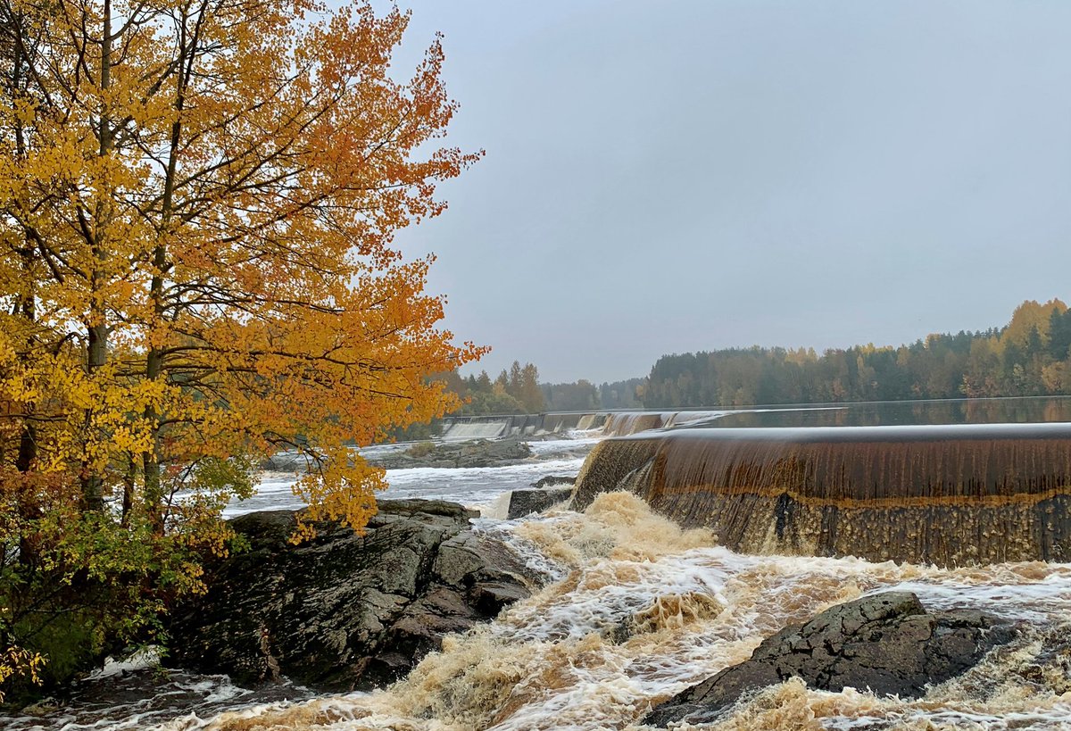 SYKEinfo's tweet photo. Uusi menetelmä auttaa arvioimaan, millaisilla alueilla jokien virtaaman säätelyllä saadaan suurimmat hyödyt vaelluskaloille.
Uutinen: https://t.co/hlZ0QzOjOU
#SykePublication: https://t.co/WAIBikmL8c

#virtaama #säännöstely #vaelluskala #ympäristövirtaama #ekologinentila https://t.co/fZClG27Gtw