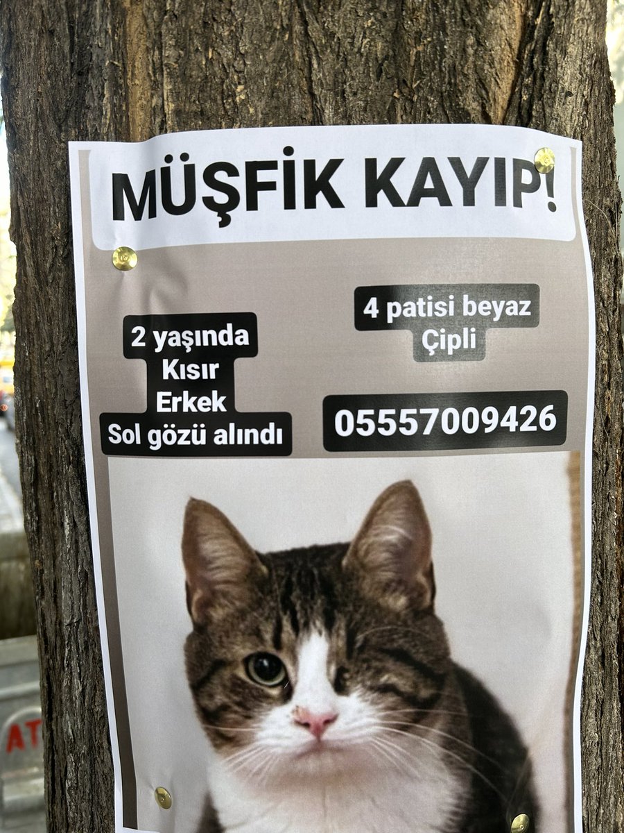 AlvinileBüş #yasayıgeriçek tweet media