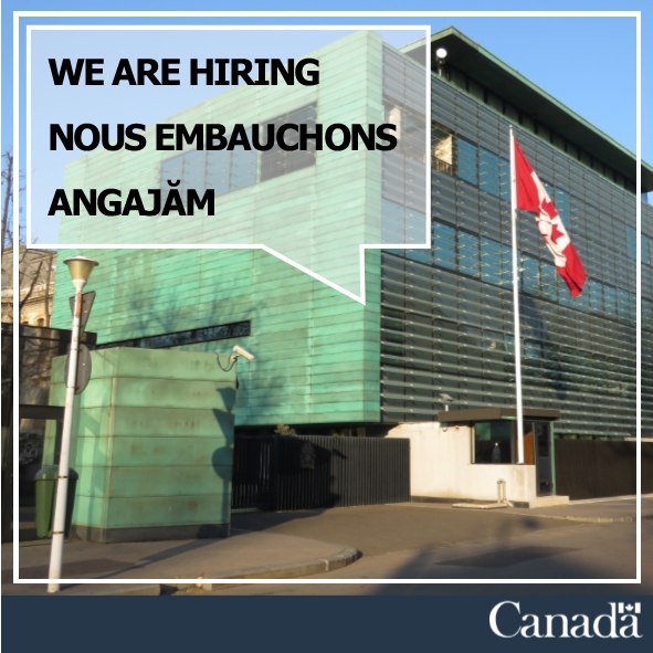 CanadaRomania's tweet photo. We are looking for Program Assistants. Do you have what it takes?

Apply now: https://t.co/jZ1XHEhhhC https://t.co/zed6wTEOj6