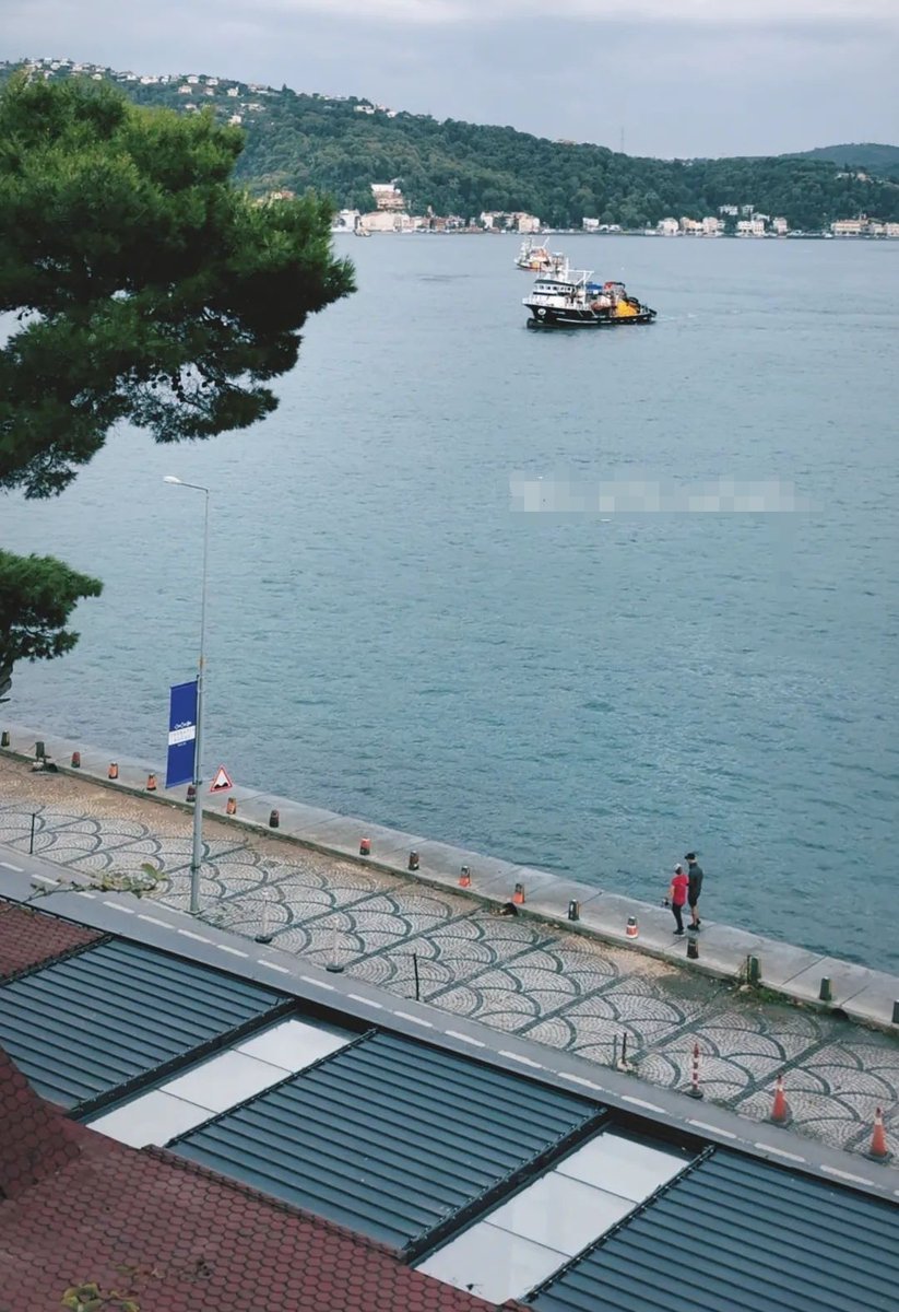 BogazKc's tweet photo. Size tam diyecektimki
"boğazda 3 gündür iri lüfer var" diye.

Gırgırlar boğazı bastı yine. Arkadaş burası endüstriyel balık avlama gemilerine uygun bir alan değil. Burası biyolojik koridor. Bırakın balık göçünü tamamlasın. En azından bir kere doğum yapabilsin. https://t.co/h4Fp9LVaWb