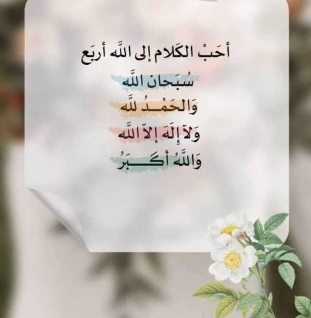 albashrish's tweet photo. #صباح_الخير 🌺 https://t.co/IAemYsiNeX