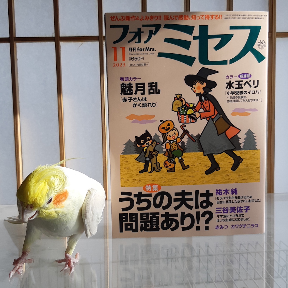 🔑宣伝🗝️10月3日発売・フォアミセス11月号「ひとり部屋のカギあずけます~すてきな第一発見者」21話掲載中!30代独居男女ソン氏ときいちゃんは孤独死対策+αのカギ友達。今回の二人の共通の敵は?ねこねこパニック!⚠️猫が死ぬ描写 #ひとり部屋のカギあずけます arc.akitashoten.co.jp/comics… ↑第1話試読