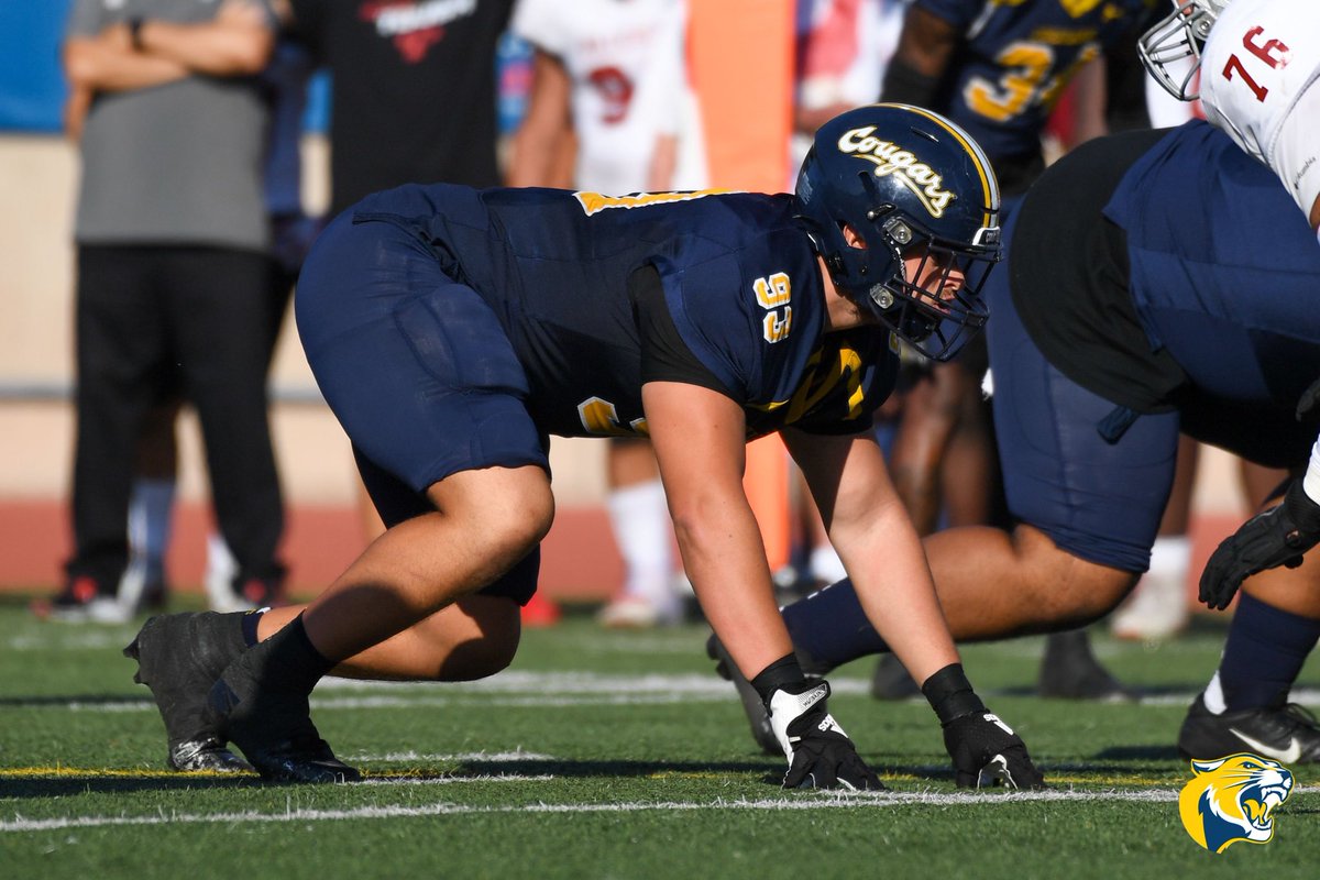 Mario Kljajic tweet media