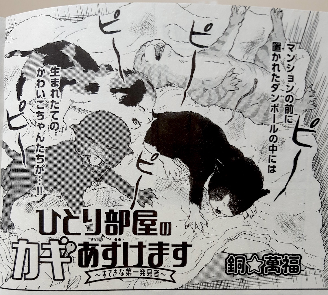 🔑宣伝🗝️10月3日発売・フォアミセス11月号「ひとり部屋のカギあずけます~すてきな第一発見者」21話掲載中!30代独居男女ソン氏ときいちゃんは孤独死対策+αのカギ友達。今回の二人の共通の敵は?ねこねこパニック!⚠️猫が死ぬ描写 #ひとり部屋のカギあずけます arc.akitashoten.co.jp/comics… ↑第1話試読