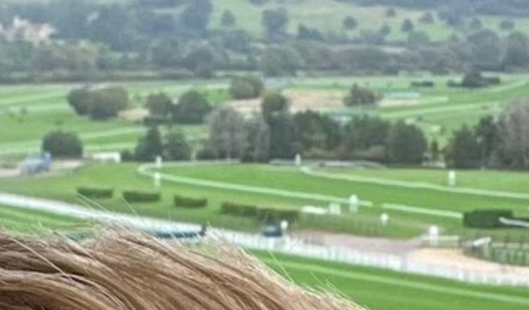 LlanvapleyCh's tweet photo. @TheRacingJosh Hi Josh no one is listening to me! Ask Cheltenham exec to consider removing bushes which obscure the second last hurdle. https://t.co/PIs9kXyipj