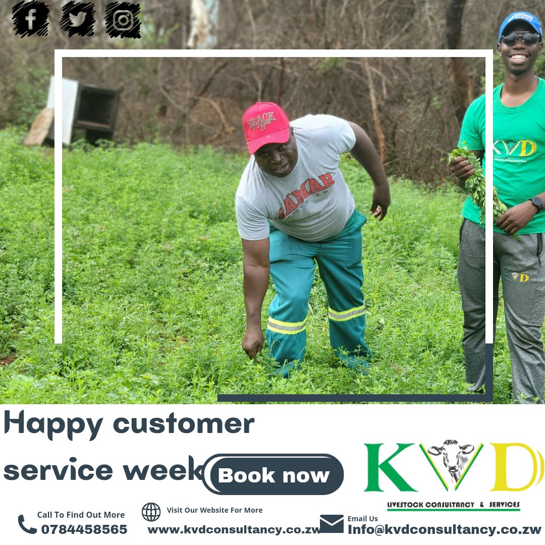 kvdconsultancy tweet media
