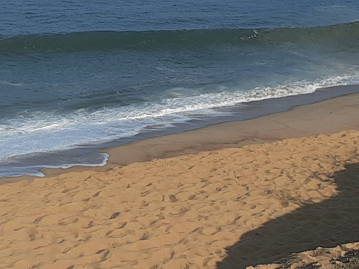 Mary E. Swigonski tweet media