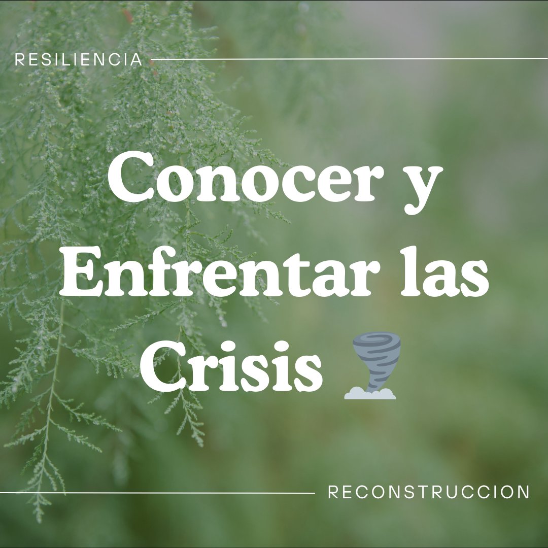 Emprendedores Latam y Desarrollo Personal tweet media
