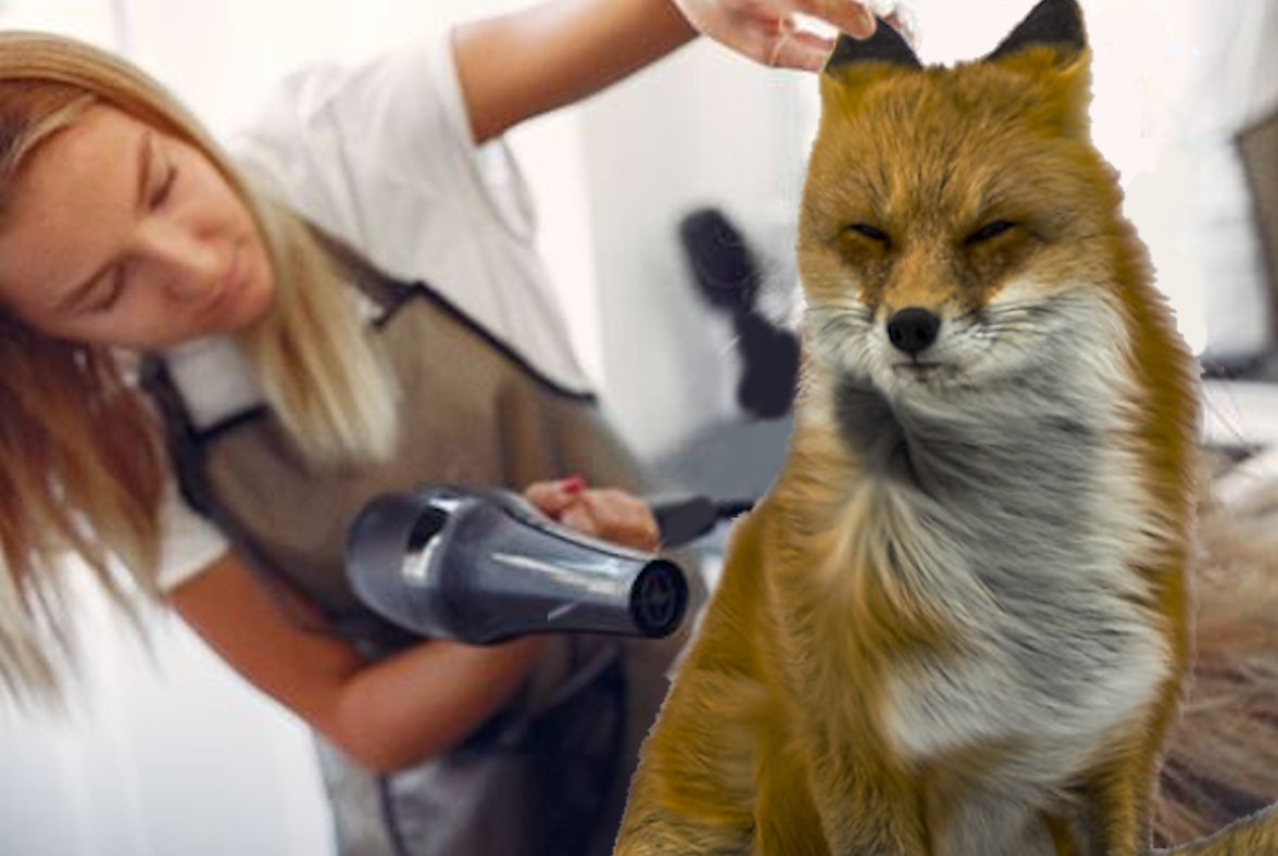 Der Fuggs ⏸️ tweet media