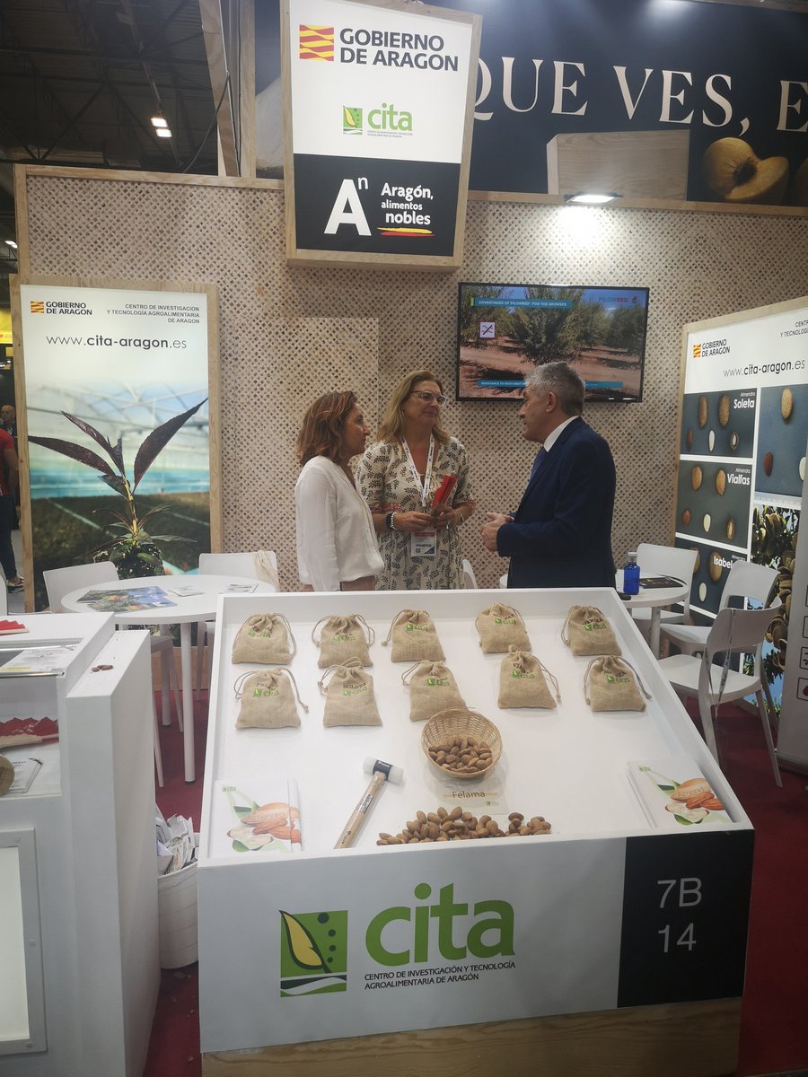 CITAAragon's tweet photo. Le han recibido investigadora @mariajodem y Ana Caudevilla, directora de @fita_aragon.
#PILOWRED #portainjertos
@GobAragon https://t.co/3YQyBfyTEs