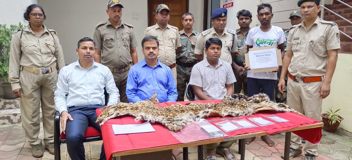 Based on reliable information one accused @ Bhuban Singh of Jadunathpur village, PS Badasahi, Mayurbhanj, was arrested on 30.09.2023, with a leopard hide, claw & nail and forwarded to judicial custody for further investigation.@ForestDeptt @ntca_india