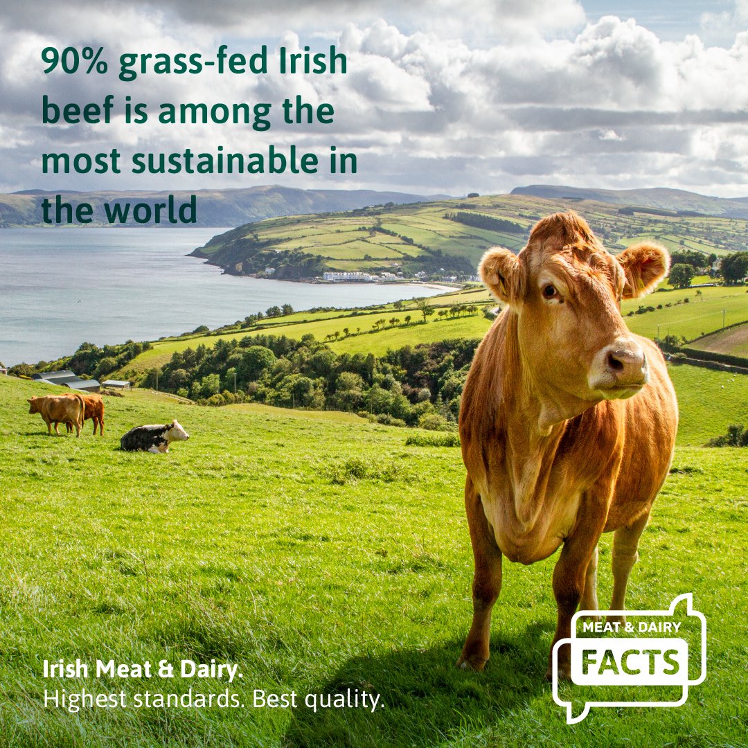 Ireland's nutrient-rich grass is the ideal environment to raise cattle in a more sustainable way.  Our grass-based system means we have:  
🌱 Less waste 
⚡ Less energy use  
💧 Less water use