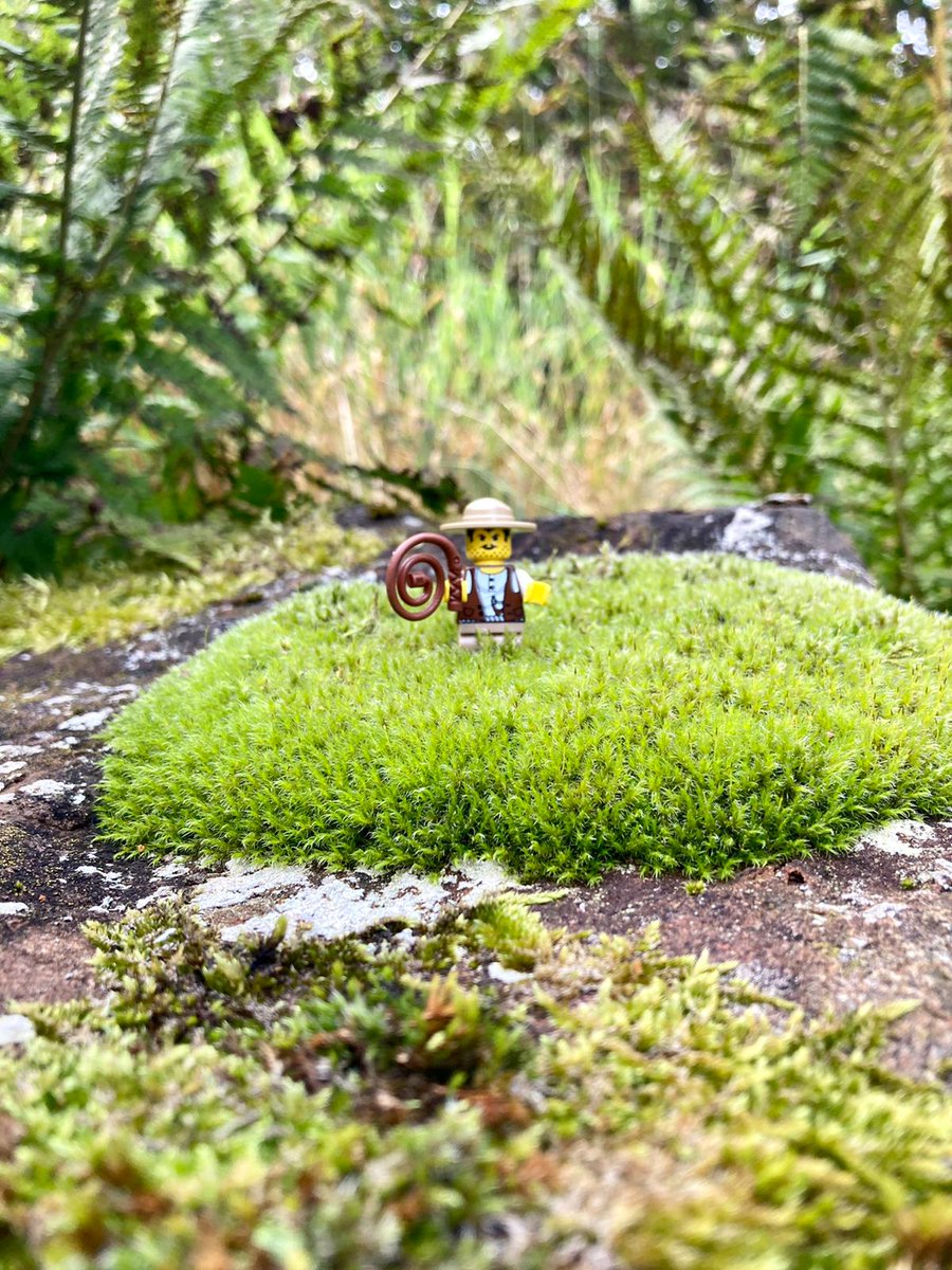 Kleiner Mann auf Tour
#OutdoorAbenteuer #NaturErkunden #Reisezeit #Fernweh #NaturLiebhaber #CampingLeben #OutdoorKochen #Seelenfrieden #RausInDieNatur #RucksackLeben #Wildnis #OutdoorKüche #Erholungszeit #AbenteuerWartet #InDieWildnis #WanderAbenteuer #outdoortravel365