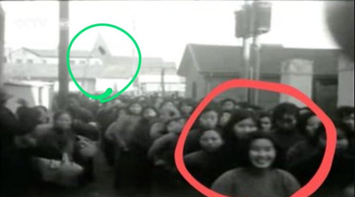 テリマカシ 。。 tweet media