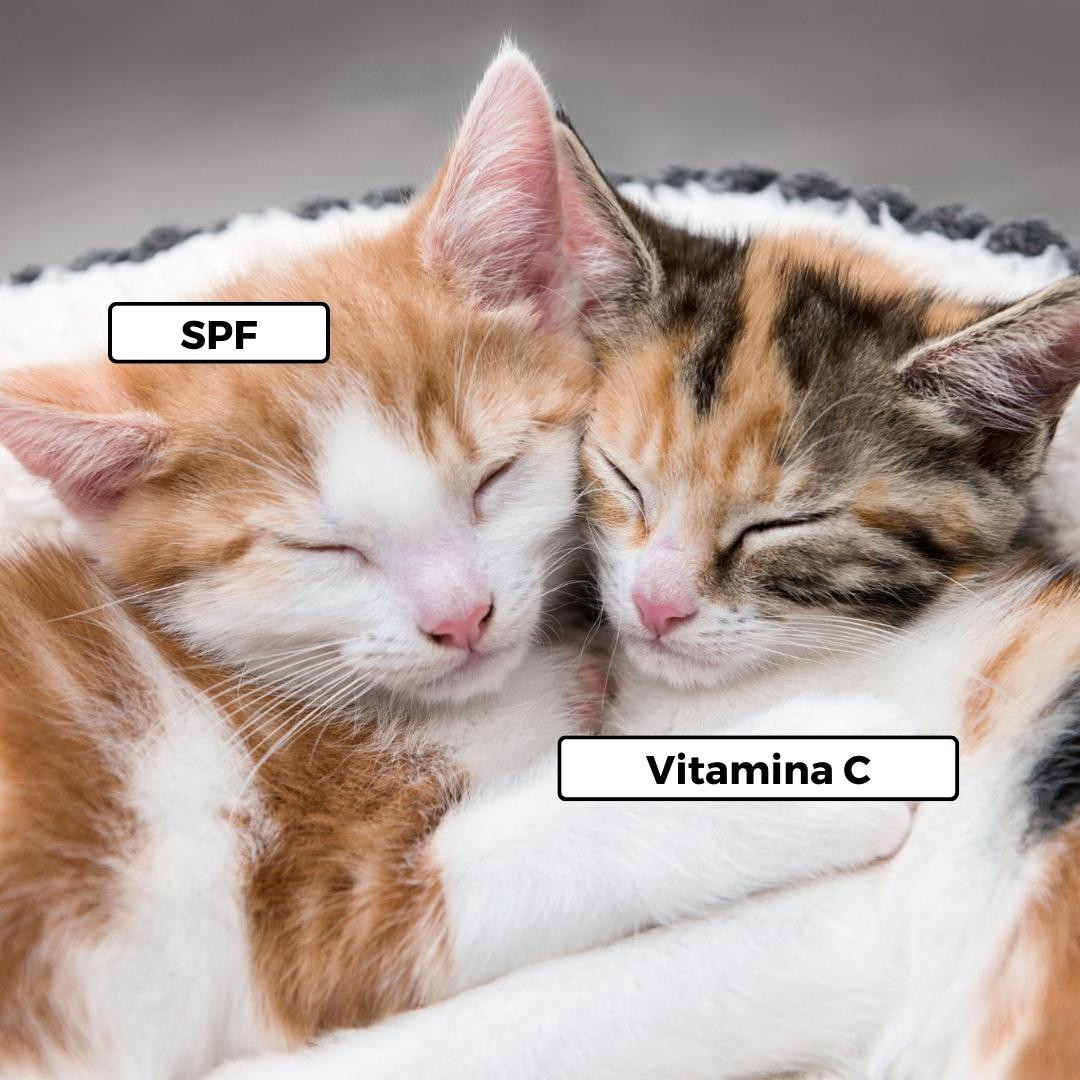 La vitamina C ofrece antioxidantes y mejora el tono y la luminosidad. Después de la vitamina C, aplica protector solar de alto SPF para proteger contra la radiación solar. Esta combinación es la pareja perfecta para una piel radiante y protegida. ☀️💖 #CuidadoDeLaPiel #VitaminaC