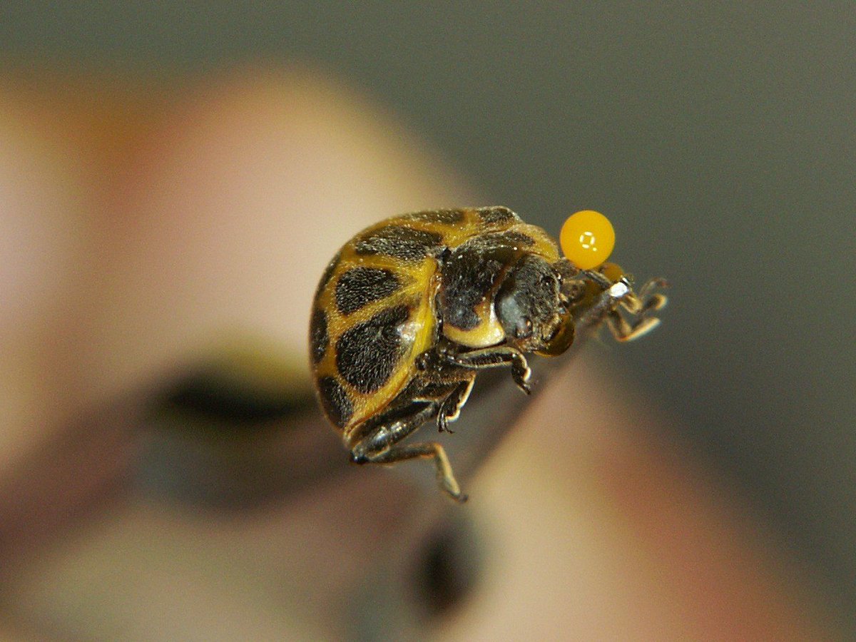 Andres Gonzalez tweet media