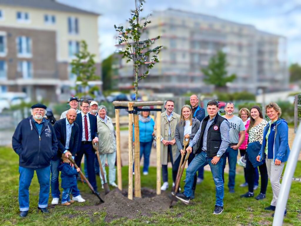 CDUTornesch's tweet photo. Auch in diesem Jahr beteiligt sich die CDU Tornesch am "Einheitsbuddeln". Auf dem Spielplatz am Alten Sportplatz haben wir heute eine Sommerlinde gepflanzt, die in Zukunft den Familien Schatten spenden soll. Herzlichen Dank an die Baumschule Sander für die Spende des Baumes. https://t.co/tE0SnDINWY