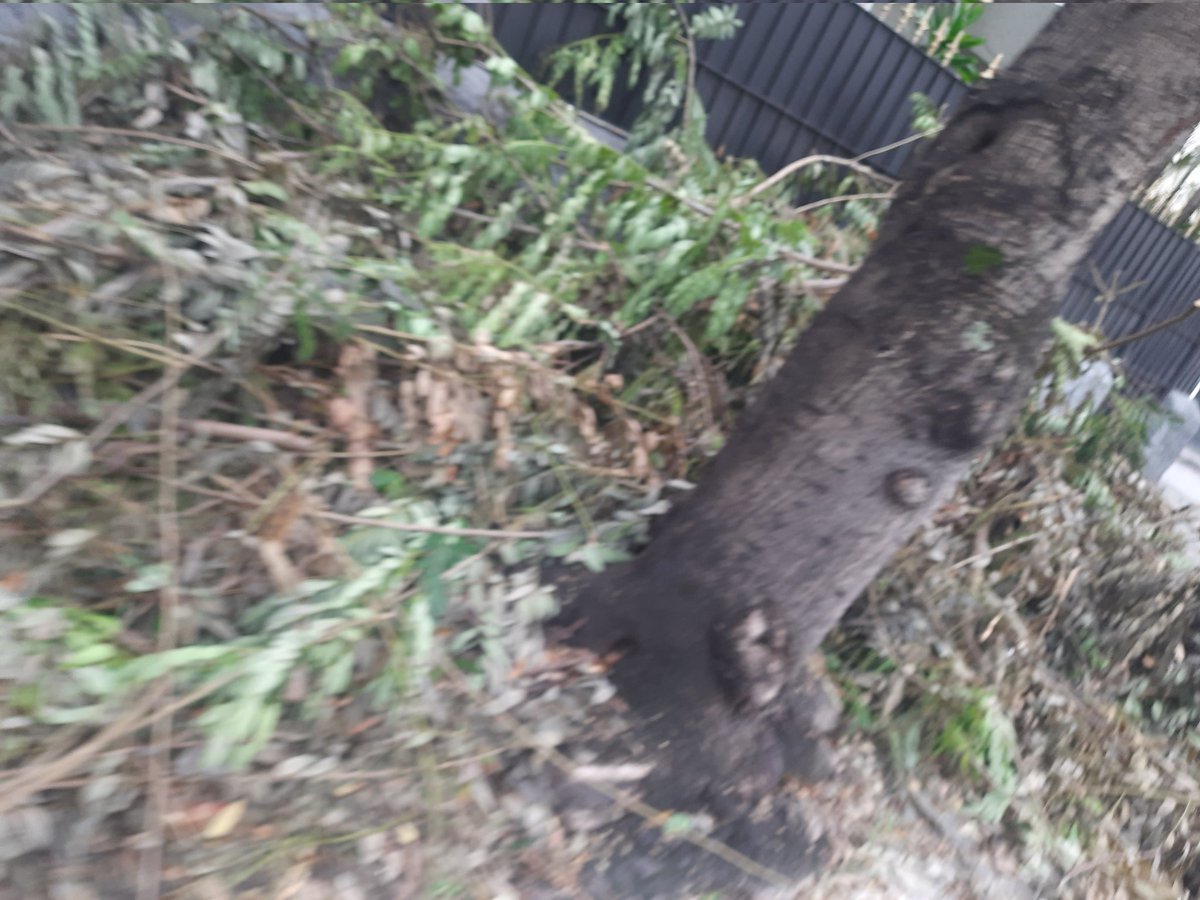 Niteroi no Foco tweet media