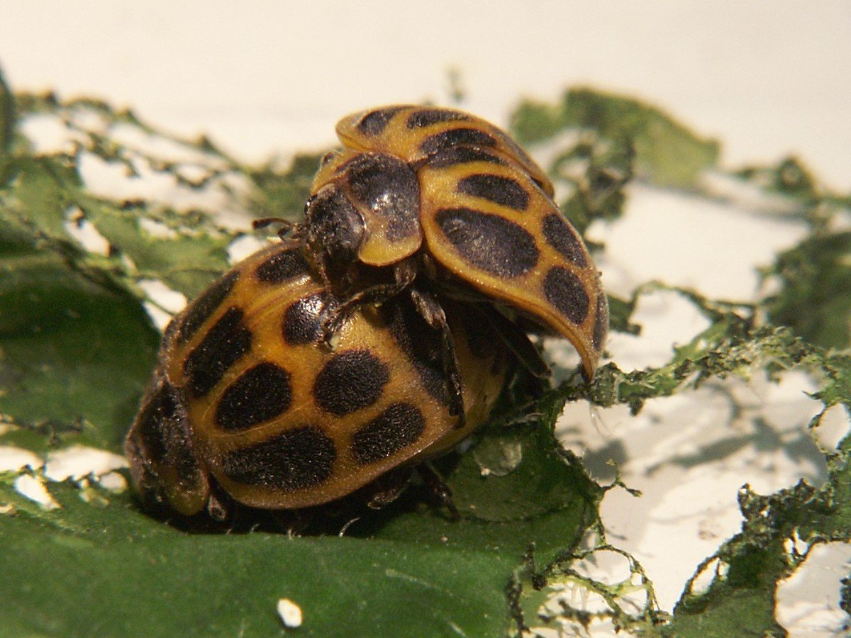 Andres Gonzalez tweet media