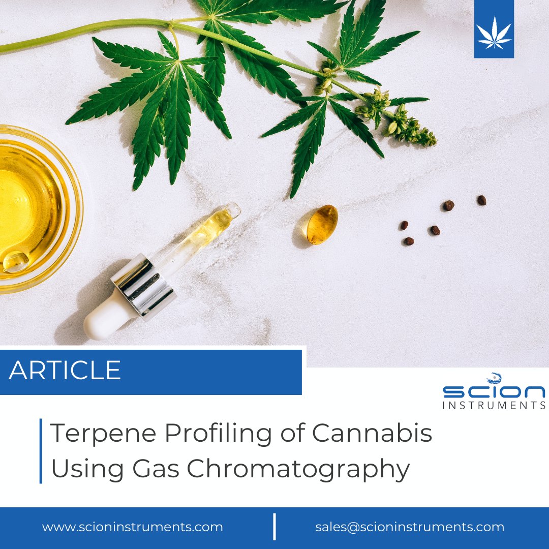 Unlock cannabis terpenes' potential with advanced testing. Explore GC-FID's role and SCION's equipment for profiling terpenes. 

Read more: scioninstruments.com/blog/terpene-p…