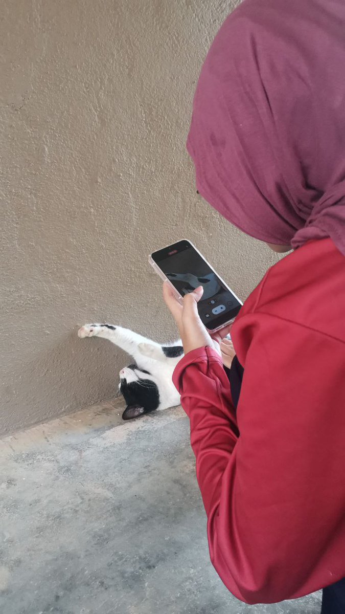 tweedimps's tweet photo. Sumpah tak mintak banyak. I just want someone to take pictures of me playing with stray cats je. https://t.co/xymvjWu6iz