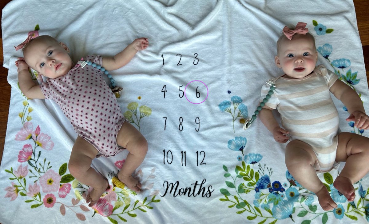 Erica Nulik tweet media